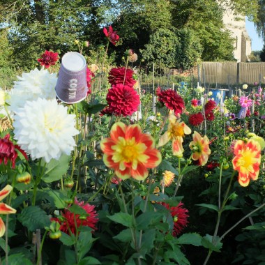 Doddington Place Gardens -  - Faversham, Sittingbourne, Kent
