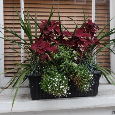 Doddington Place Gardens -  - Faversham, Sittingbourne, Kent