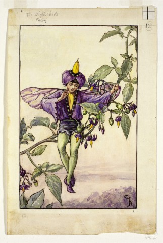 The Nightshade Fairy © The Estate of Cicley Mary Barker 1925