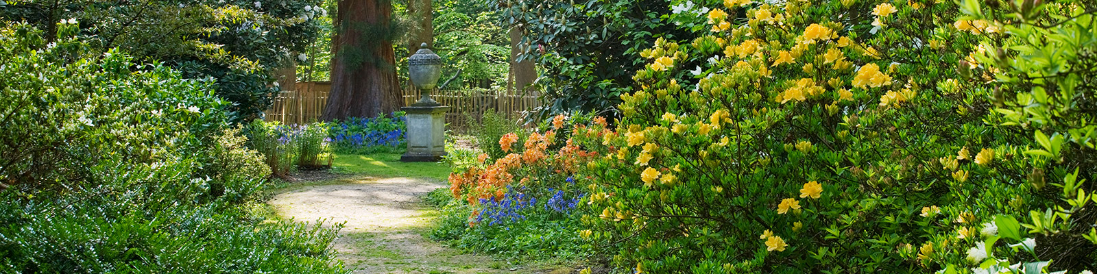 Doddington Place Gardens - Woodland Garden