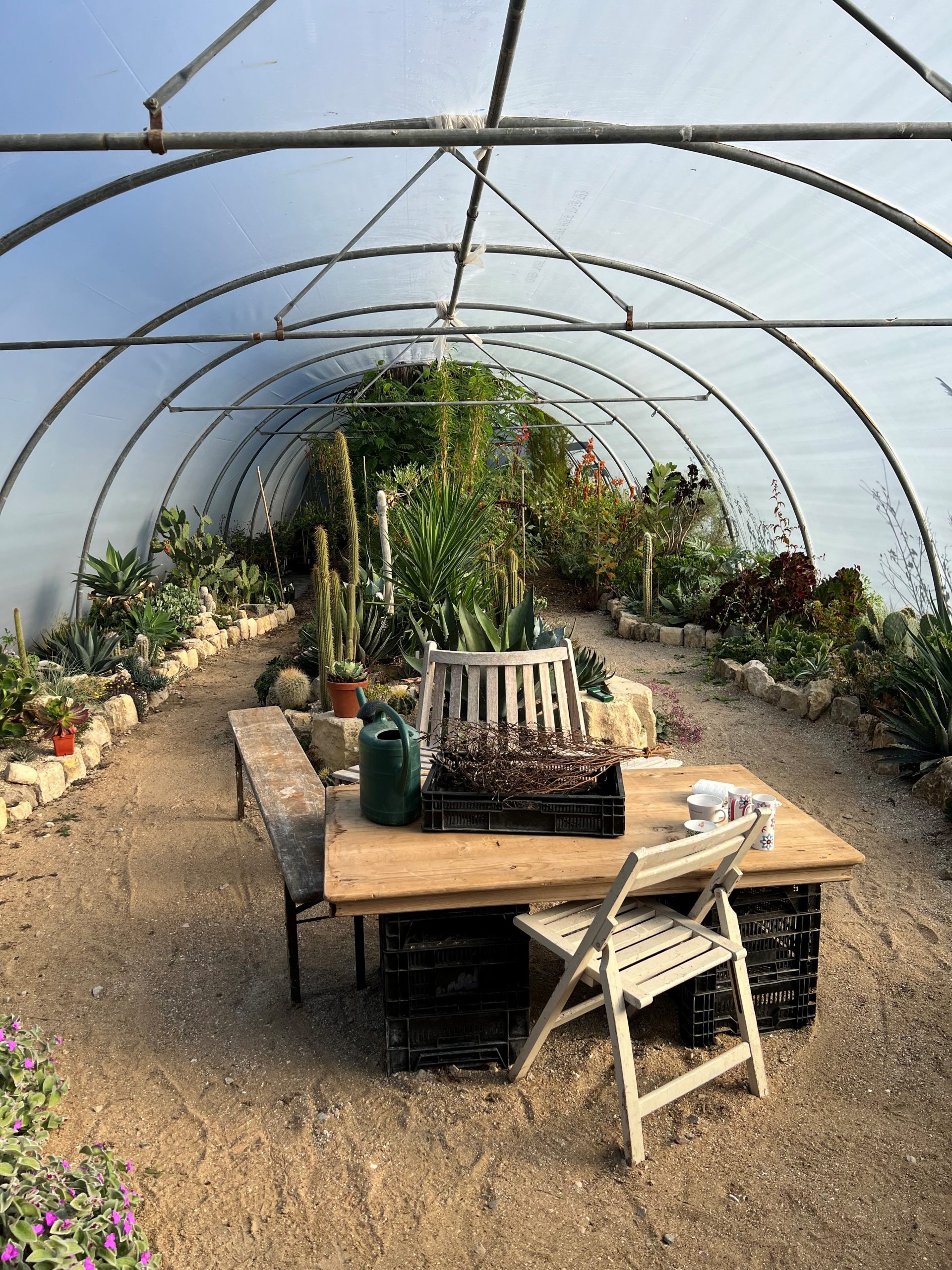 the exotic polytunnel